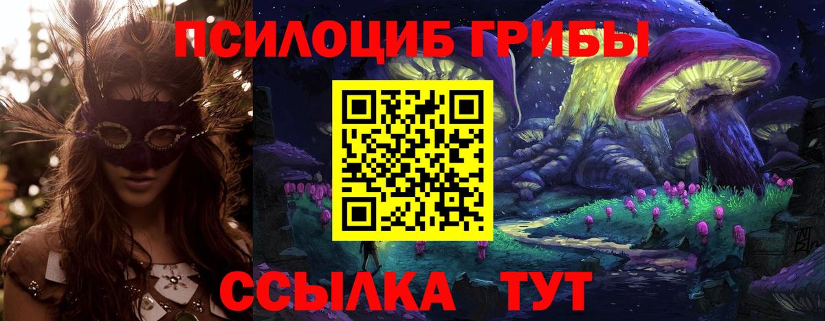 дарнет шоп  Вход с VPN  Ленинск-Кузнецкий  Галлюциногенные грибы ЛСД  Псилоцибиновые грибы Cubensis 