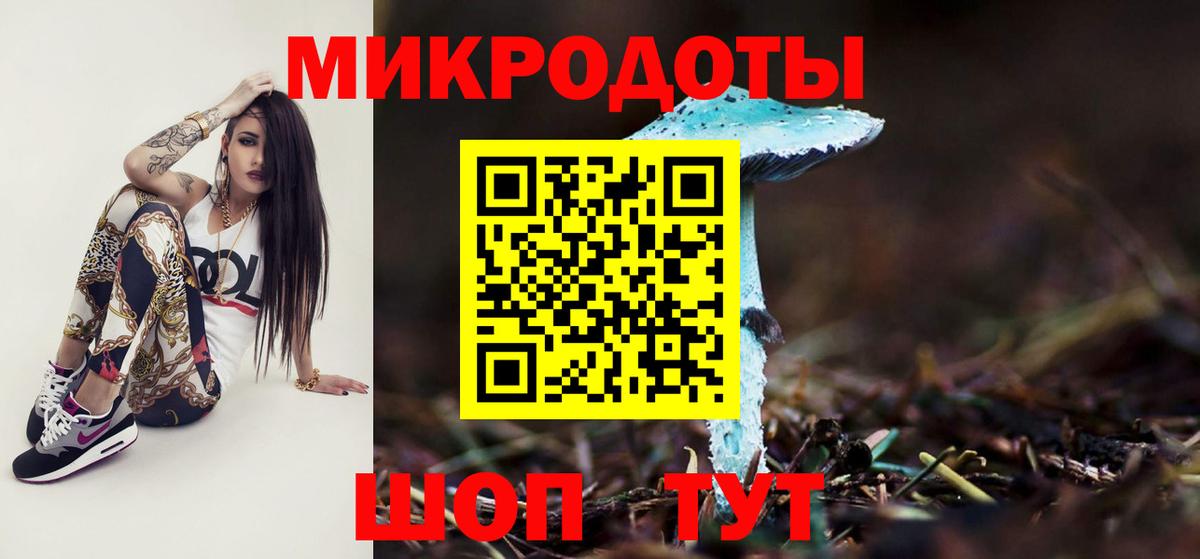Псилоцибиновые грибы Psilocybine cubensis Ленинск-Кузнецкий